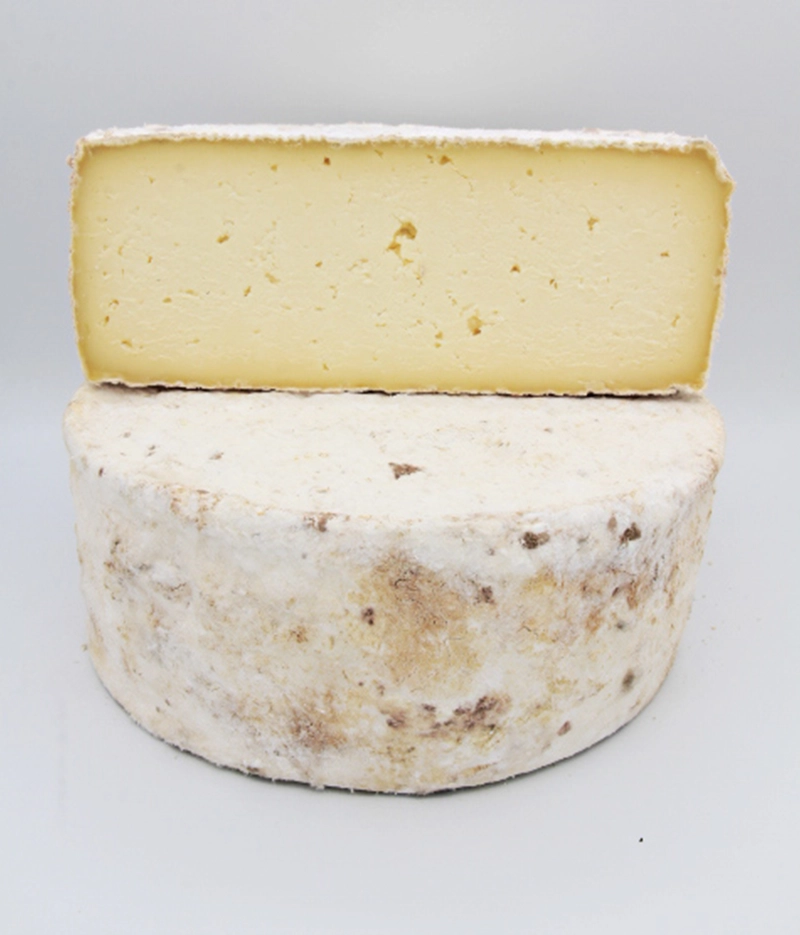 foto formaggio la Sabauda